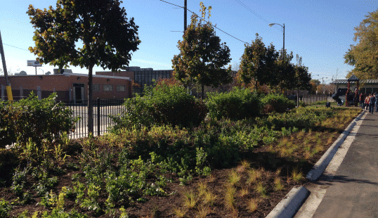 Upland Design – Leland Elementary Upland Design - Leland Elementary