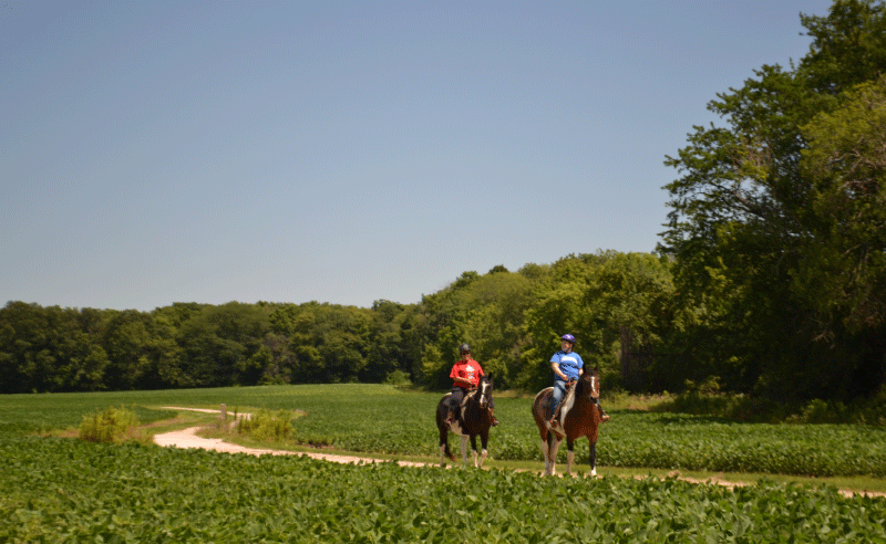 Bakers Wood - People Riding Horses