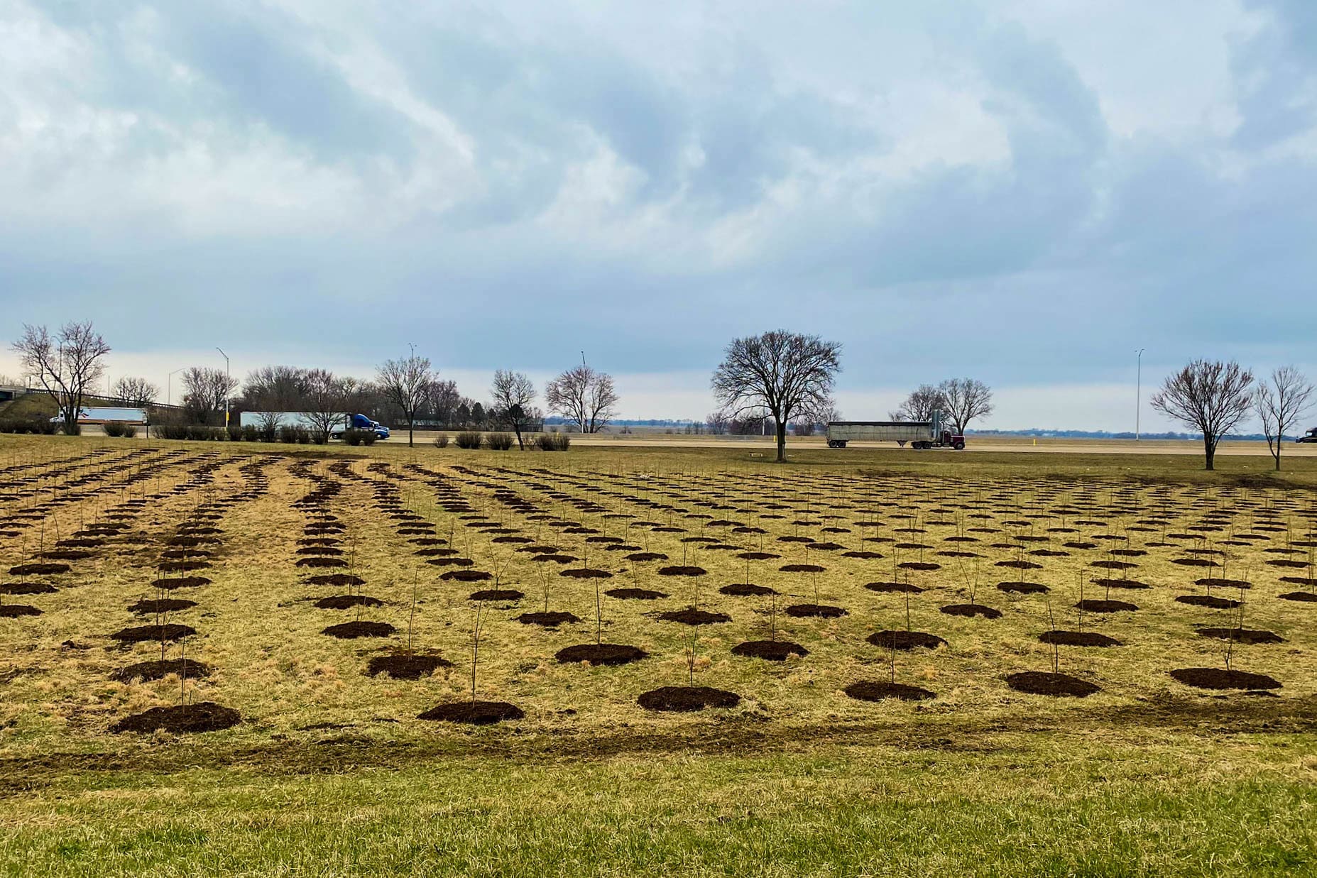 upland Illinois tollway tree landscape